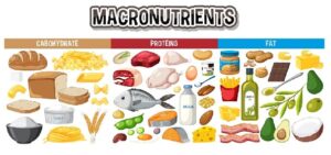 Macronutrients